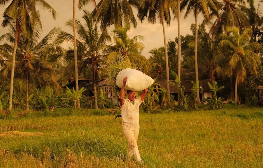 This image for Image Layouts addon