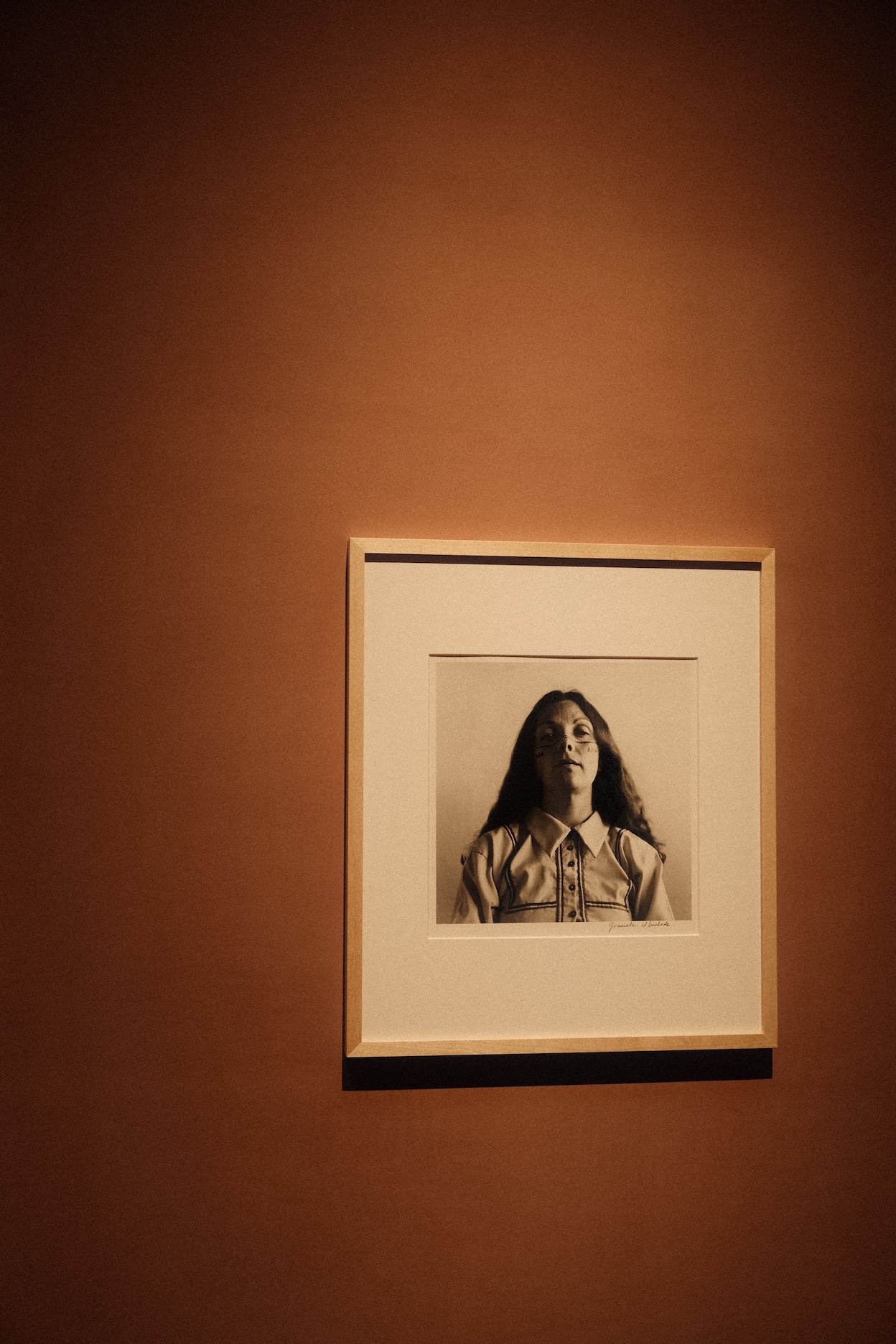 This image for Image Layouts addon