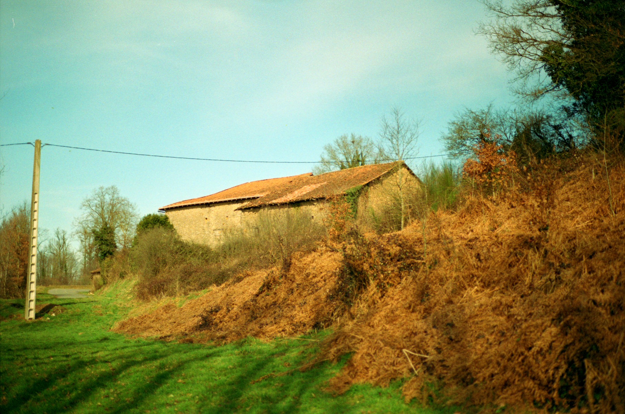 沿著亞里斯多德與盧梭的步伐：散步成為人類最古老的思考方式