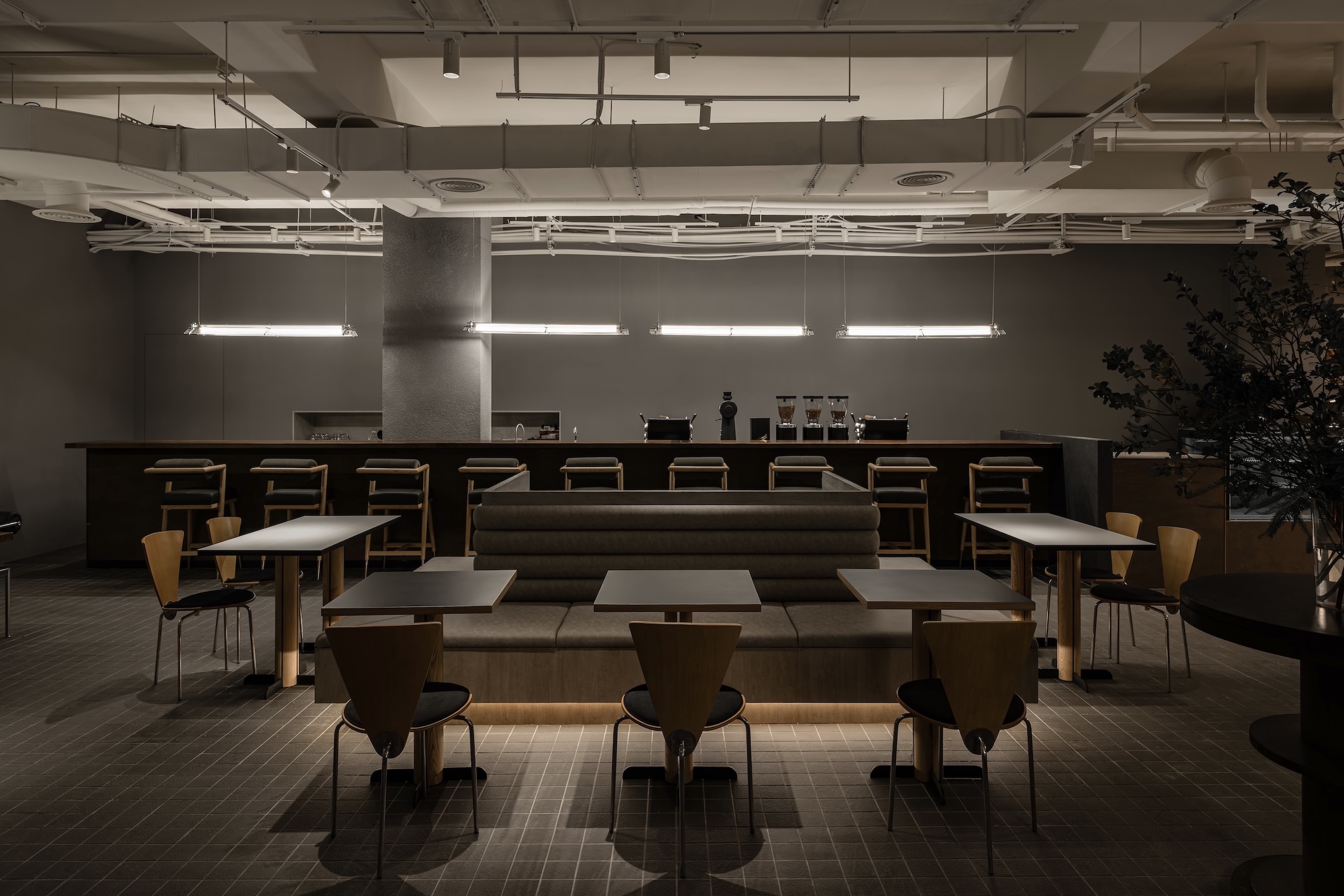 台中萬軒茶室聚焦東方美人與古樹普洱風味，沉靜自然的茶室氣息