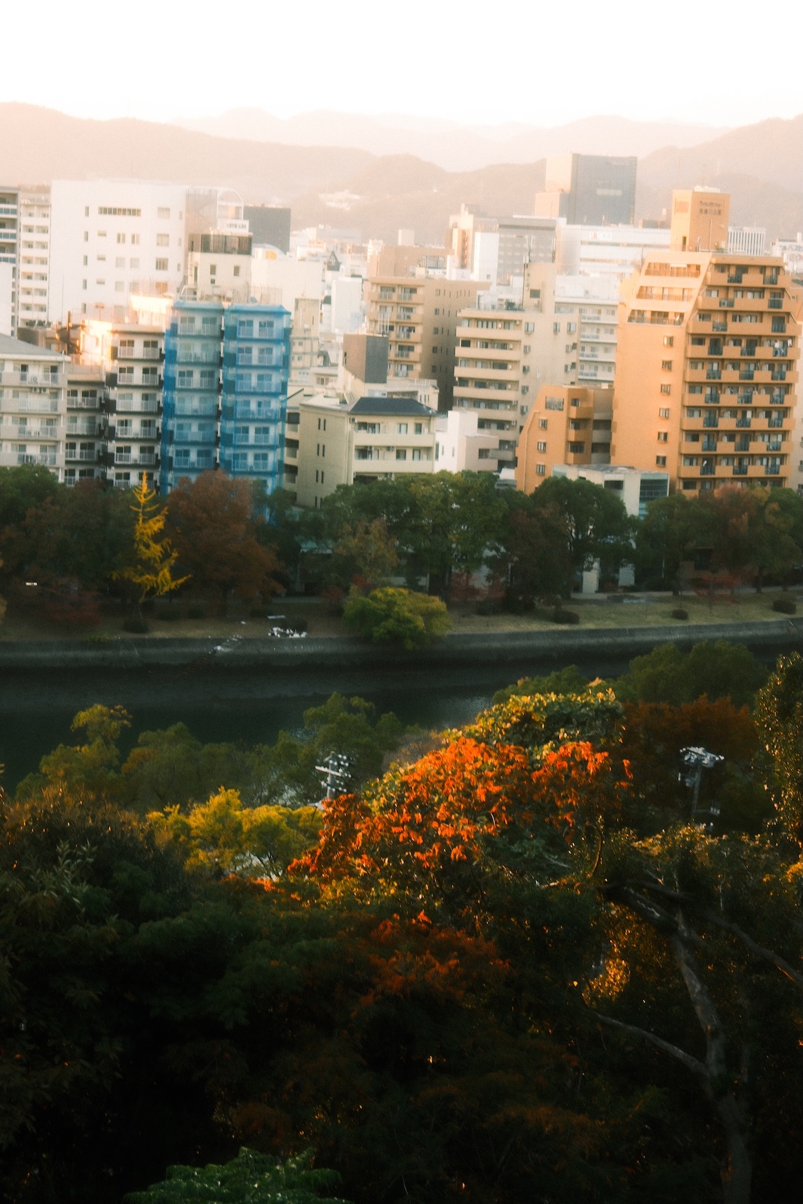 站在廣場眺望，廣島市區和河景一覽無遺