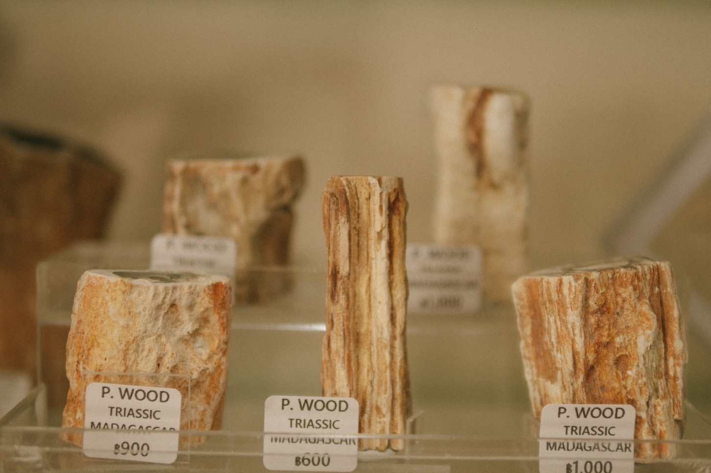 走進 House of Gems，可以同時看到三個時代的縮影，這或許才是它真正的祕密，讓不同背景的人都能在這間店裡找到屬於自己的入口