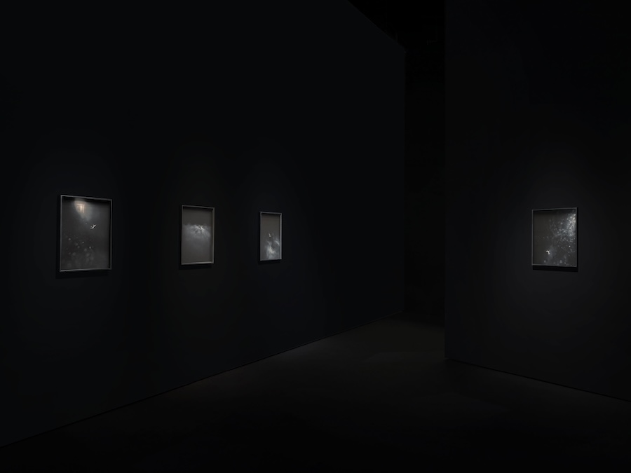 水下不寂靜，萬物的美麗與脆弱：法瑞藝術家朱利安·沙裡埃 Julian Charrière 午夜地帶